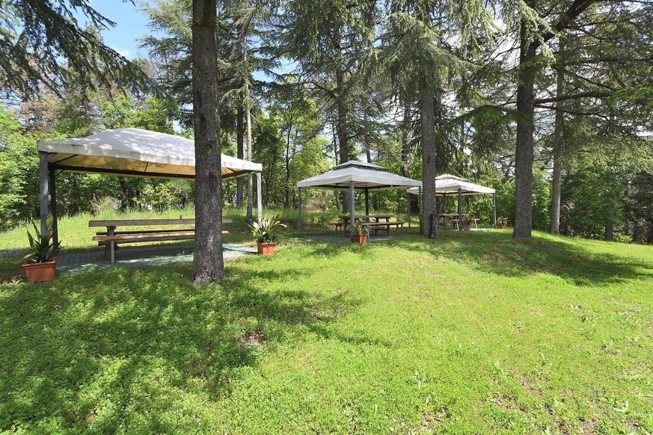 Apartmán Luciana In Chianti Gaiole in Chianti Exteriér fotografie